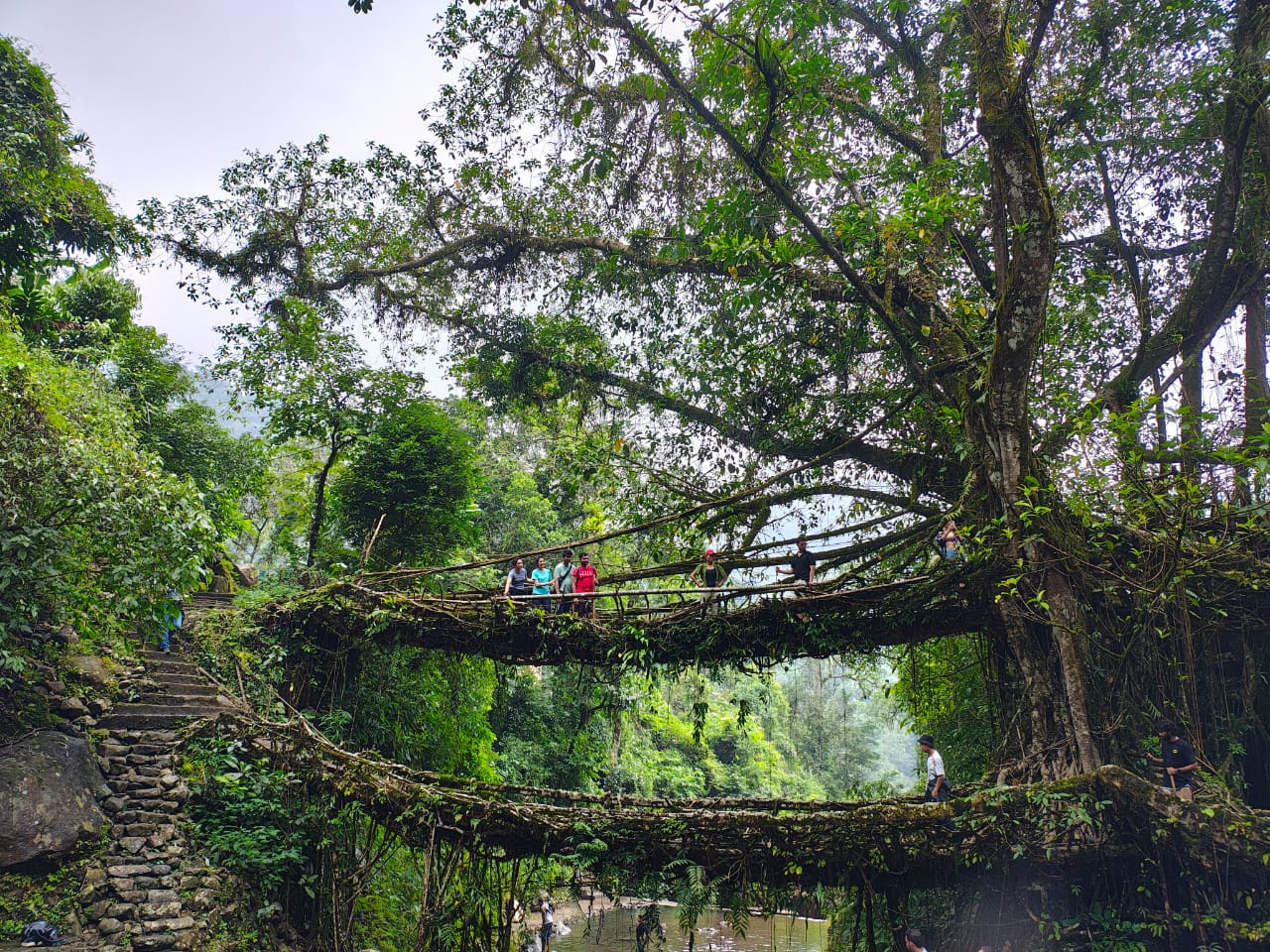 Double Decker Root Bridge -Meghalaya